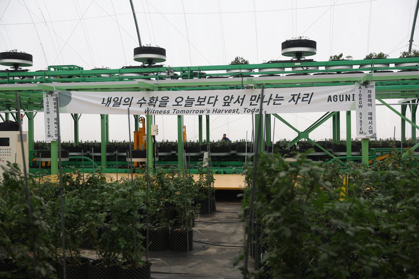 완공 후 운영 중인 AgDome 내부
