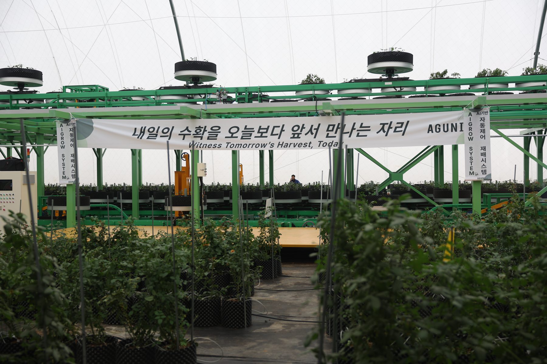 Inside AgDome — Witness Tomorrow's Harvest, Today